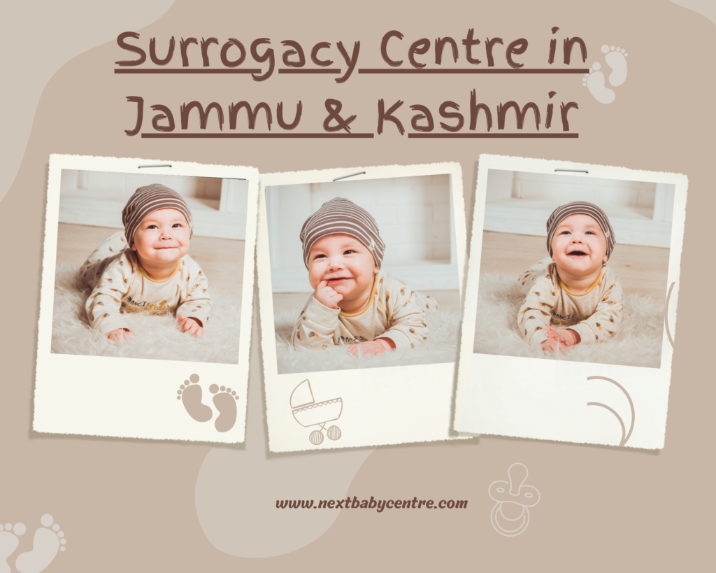 Best Surrogacy Centre in Srinagar